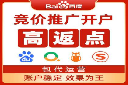 百度推广成功案例分析